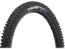 Goodyear Newton MTR Trail Tubeless Complete 29" Faltreifen