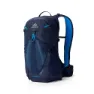 Gregory Miko 20 Plus Ryggsäck, Volt blue