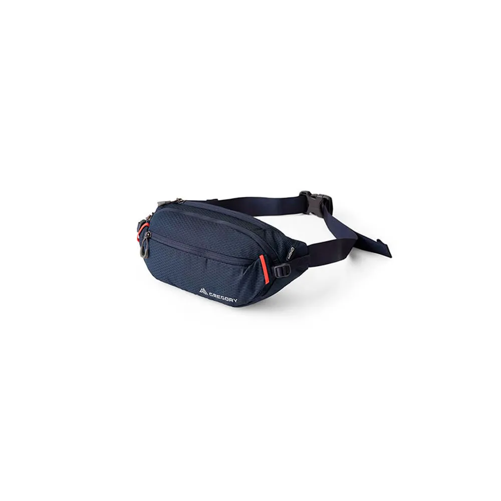 Gregory Unisex Nano Waistpack Gregory Unisex Nano Waistpack