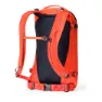 Gregory Verte 18l Ryggsäck, Apres orange