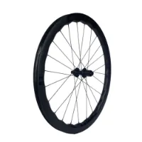 GTR Rr45 Wave25 Cl Disc Tubeless Grus Bakhjul GTR Rr45 Wave25 Cl Disc Tubeless Grus Bakhjul