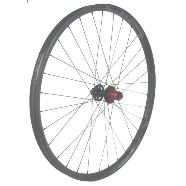 GTR Sl30 29´´ Ratchet Disc Tubeless Mtb Bakhjul