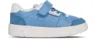 Blue/white