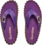 Classic Purple