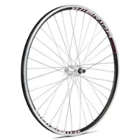 Gurpil Xm-1 6-7s 29´´ Tubeless Mtb Bakhjul Gurpil Xm-1 6-7s 29´´ Tubeless Mtb Bakhjul