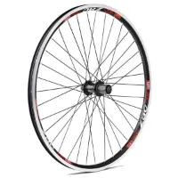 Gurpil Zac 26´´ Mtb Bakhjul Gurpil Zac 26´´ Mtb Bakhjul