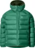 Dk Jelly Green