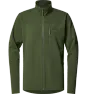 Seaweed Green