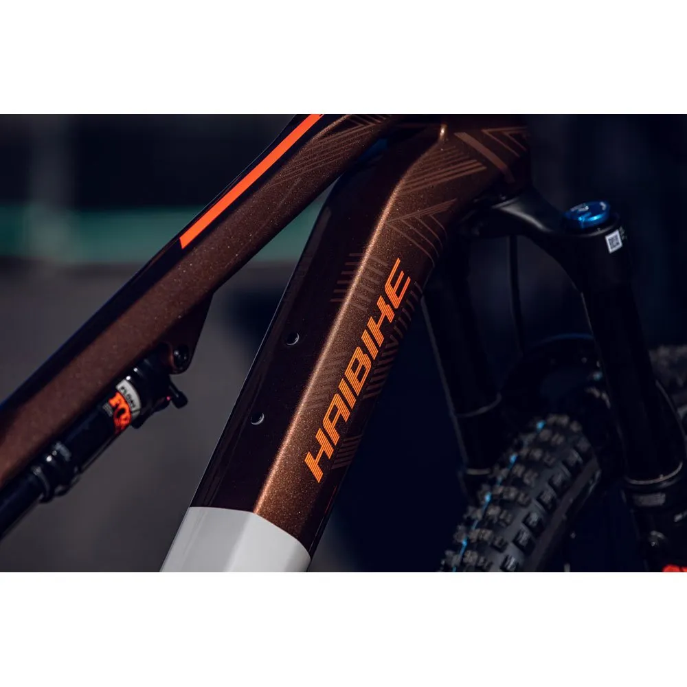 HAIBIKE Lyke Cf 10 29´´ Nx Eagle 2023 Elcykel Mtb HAIBIKE Lyke Cf 10 29´´ Nx Eagle 2023 Elcykel Mtb