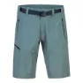 Hannah Doug Shorts