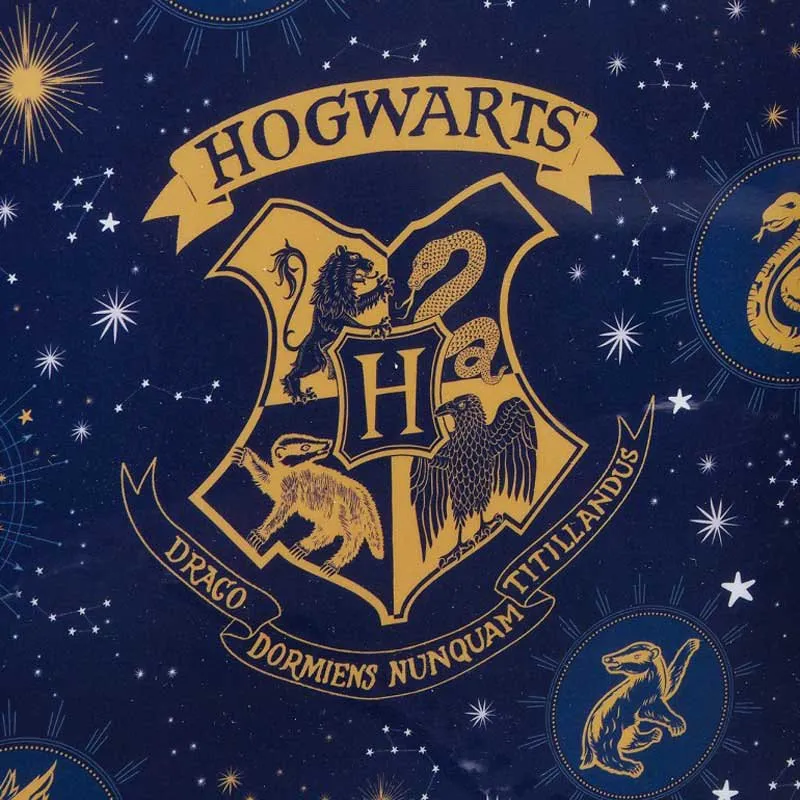 Harry Potter Navy Lunchpåse, Multicolor