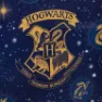 Harry Potter Navy Lunchpåse, Multicolor