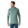 Helly Hansen Lifa Merino Midweight T-shirt Med Lång ärm male, Cactus