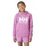 Helly Hansen Logo 2.0 Jr Huvtröja