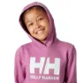 Helly Hansen Logo 2.0 Jr Huvtröja
