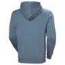 Helly Hansen Massif Graphic Huvtröja