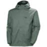 Grey Cactus