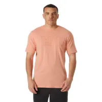 Helly Hansen Tech Logo T-shirt Med Korta ärmar