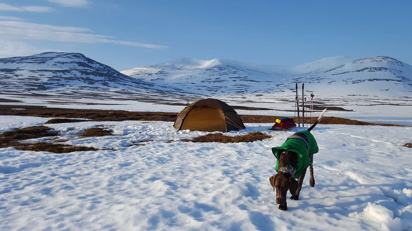 Hilleberg Allak 2 Tält Hilleberg Allak 2 Tält