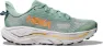 Jade / cosmic grey