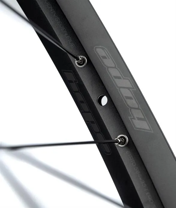 Hope 29" Fortus 23W Pro 4 Bakhjul