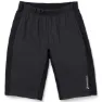 Houdini Men's Moonwalk Shorts