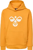 Hummel Kids' hmlCUATRO Hoodie