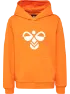 Persimmon orange