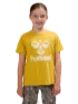 Golden spice