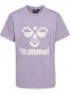 Lavender gray