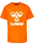 Persimmon orange