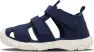 Navy peony