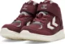 Catawba grape