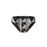Geometric multi