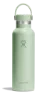 Aloe