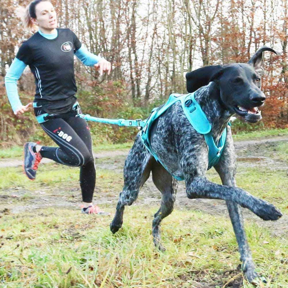 I-dog Canicross Canyon Alm Hundsele, Blue, One Size