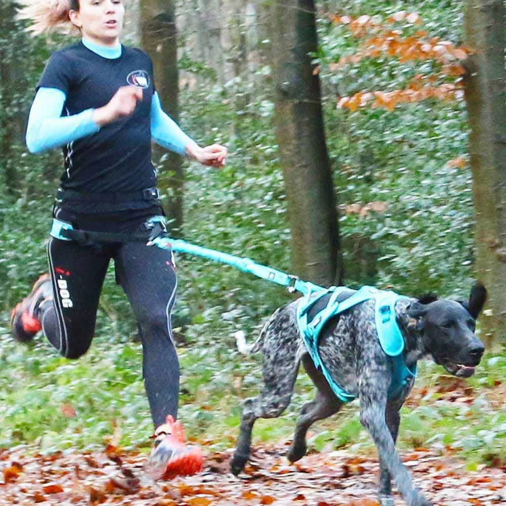 I-dog Canicross Canyon Alm Hundsele, Blue, One Size