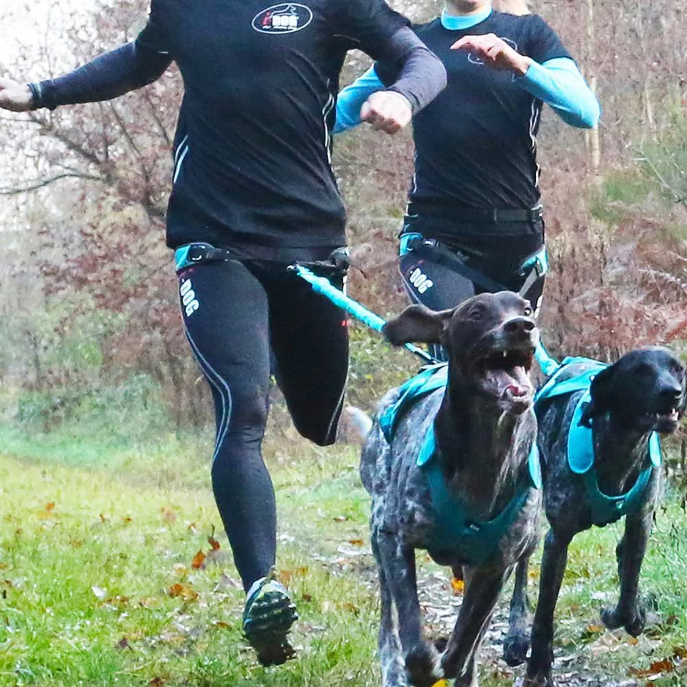 I-dog Canicross Canyon Alm Hundsele, Blue, One Size