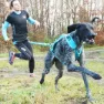 I-dog Canicross Canyon Alm Hundsele, Blue, One Size