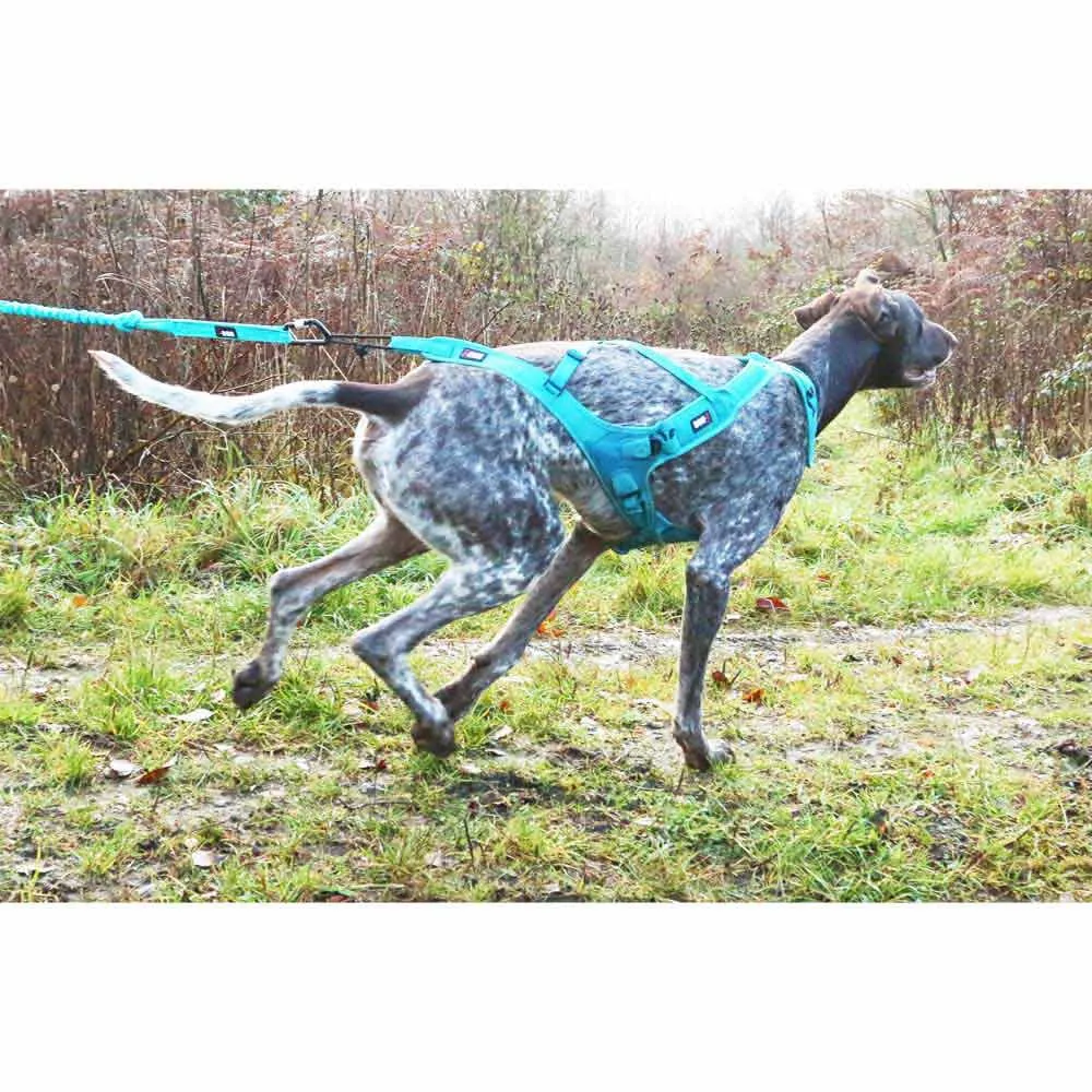 I-dog Canicross Opale Small Dog Hundkoppel, Blue, 190cm