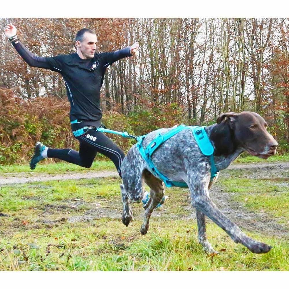 I-dog Canicross Opale Small Dog Hundkoppel, Blue, 190cm