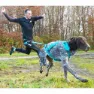 I-dog Canicross Opale Small Dog Hundkoppel, Blue, 190cm