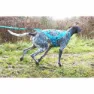 I-dog Canicross Opale Small Dog Hundkoppel, Blue, 190cm