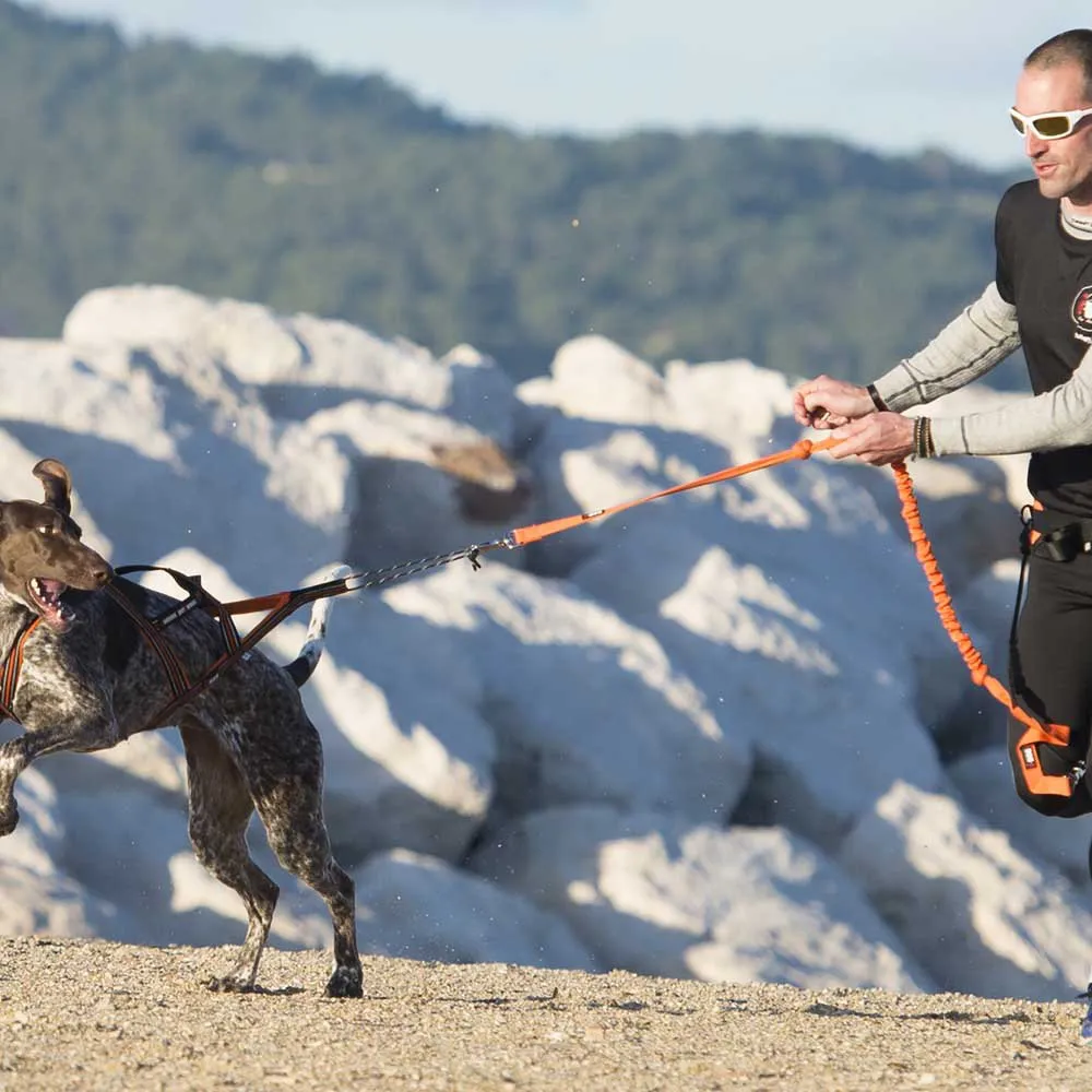 I-dog Canicross X-back Hundsele