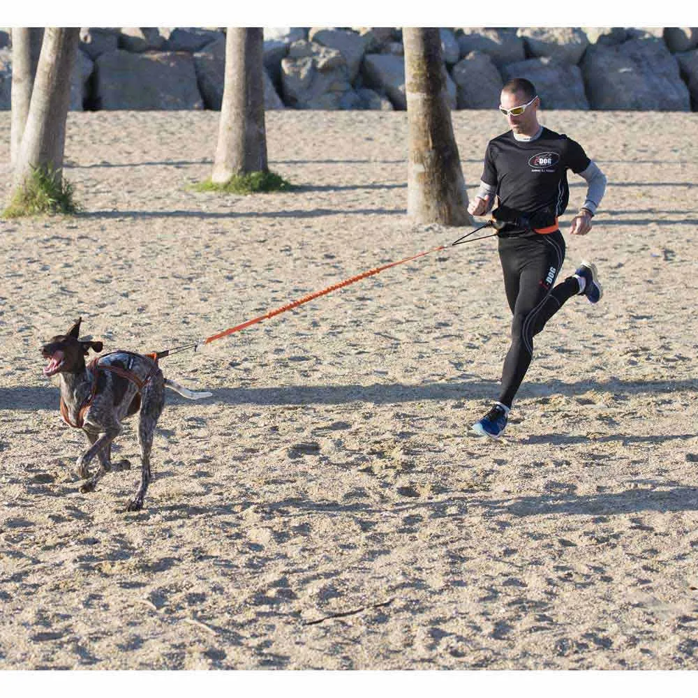 I-dog Canicross X-back Hundsele