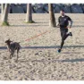I-dog Canicross X-back Hundsele