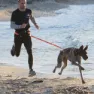 I-dog Canicross X-back Hundsele