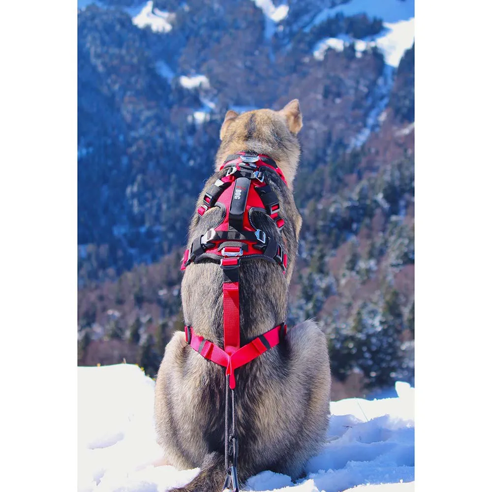 I-dog Confort Trek Hundsele