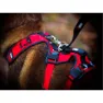 I-dog Confort Trek Hundsele
