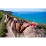 I-dog Confort Trek Hundsele